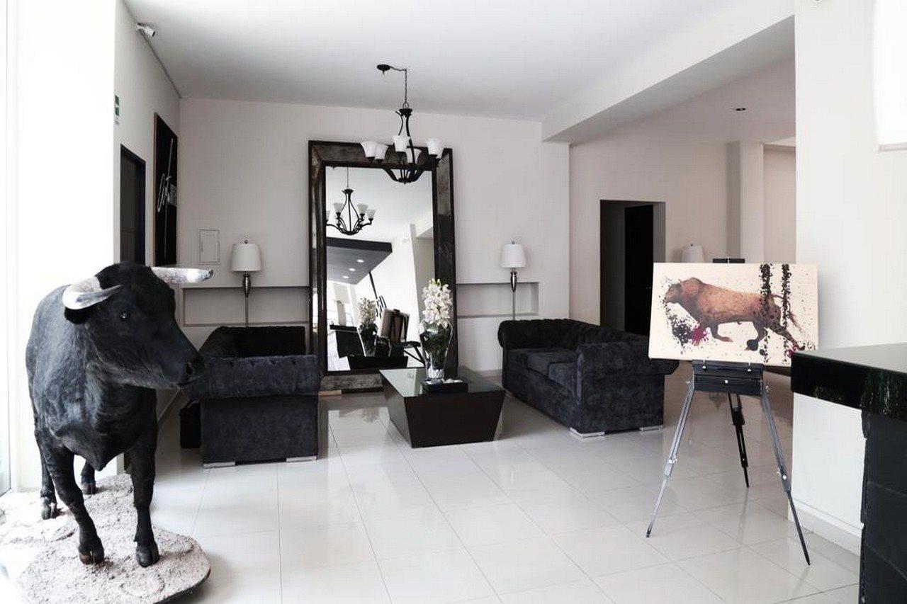 Art Hotel アグアスカリエンテス エクステリア 写真